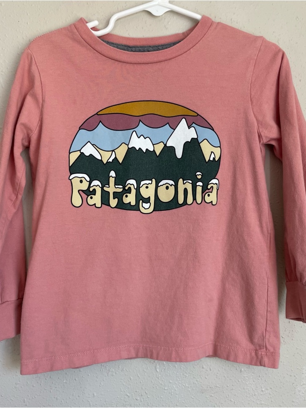 Patagonia Pink Long-Sleeve Mountain Logo Tee